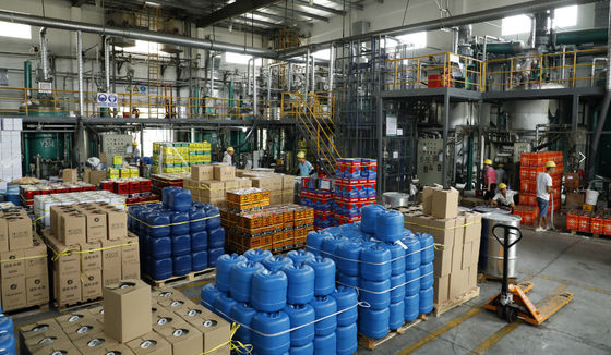 卓越した顧客サービス Audi LXIY 2015モデル ホワイトゴールド 混ざったカーペイント