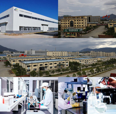 グリーンカーペイント トップコート 高度な設備 強い粘着力 自動塗装