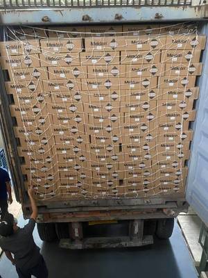 カーペイントの外観 緑色を通して 磨き耐性 摩擦耐性のある外観